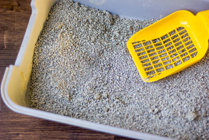 16 formas inteligentes de usar talco para la limpieza del hogar