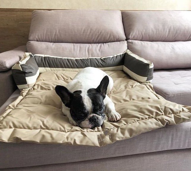 cama para perro
