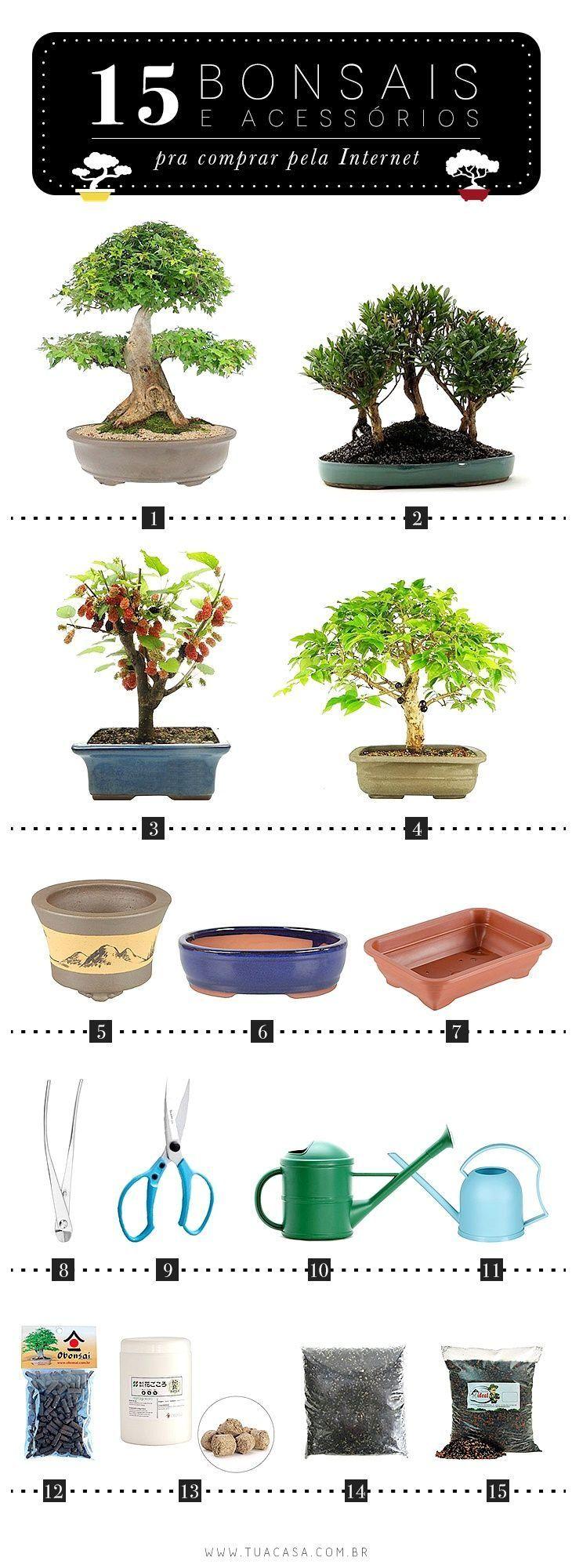 Cómo cuidar un bonsái en tu casa o apartamento
