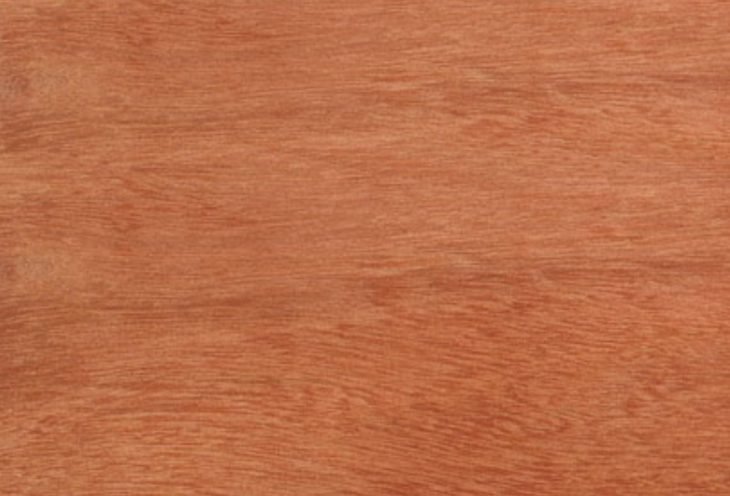 Tipos de madera: cómo tomar la decisión correcta para su hogar