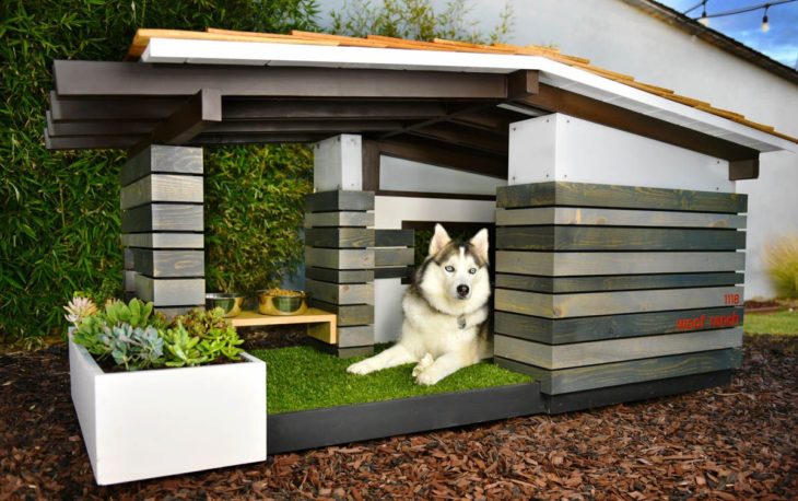 40 modelos de casitas de madera para que tu perro tenga aún más comodidad