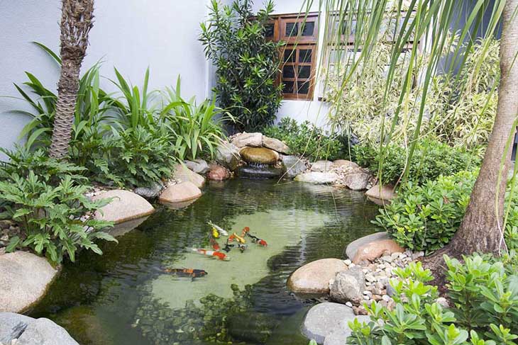 Pequeño oasis: 40 increíbles diseños de lagos en huertos familiares