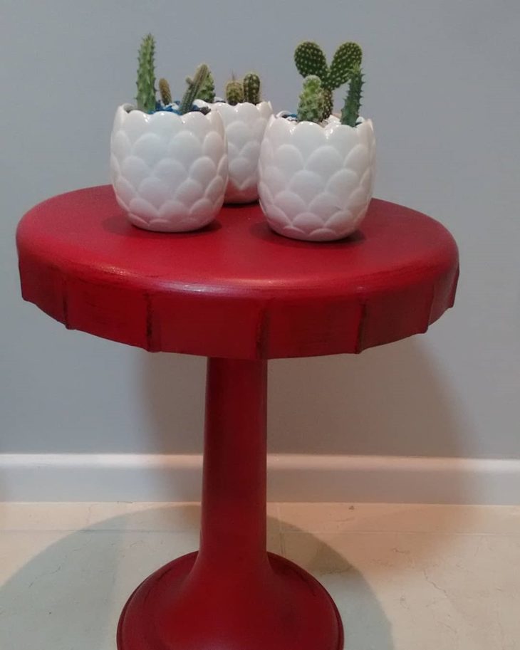 Cactus: como cuidar, tipos, fotos y consejos para usar en decoración