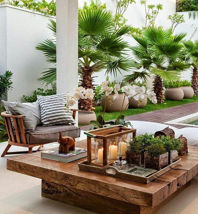 Tipos de palmeras y cocoteros para hacer tu jardín más encantador