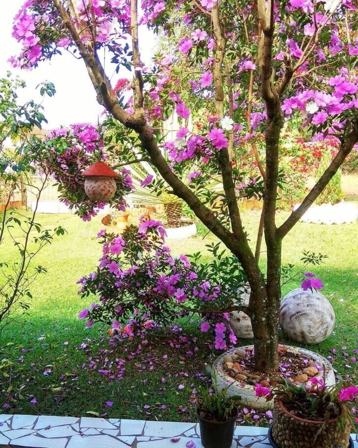 7 consejos creativos para tener un jardín sencillo y sorprendente