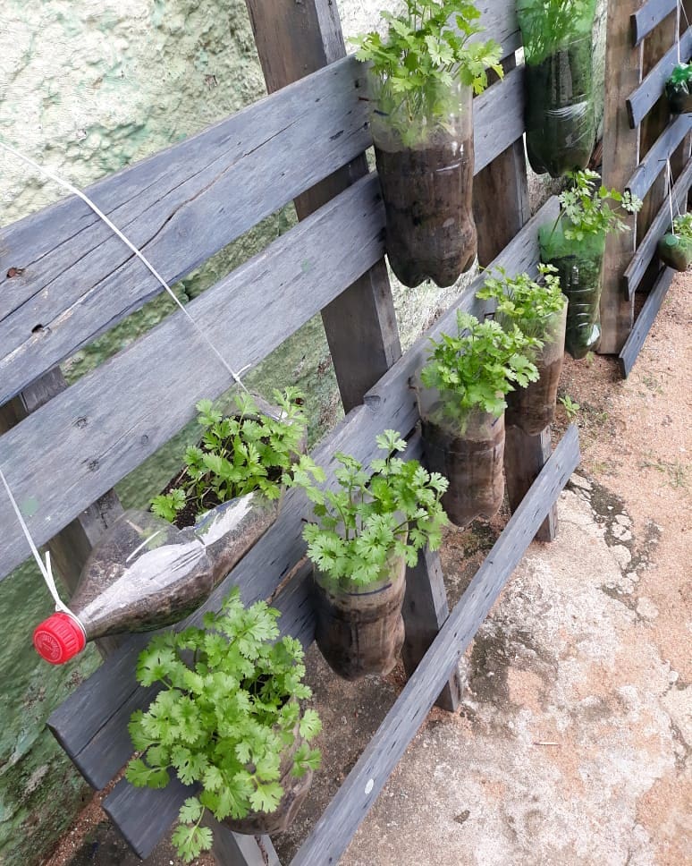 Huerta colgante: 35 ideas para tener comida ecológica en casa