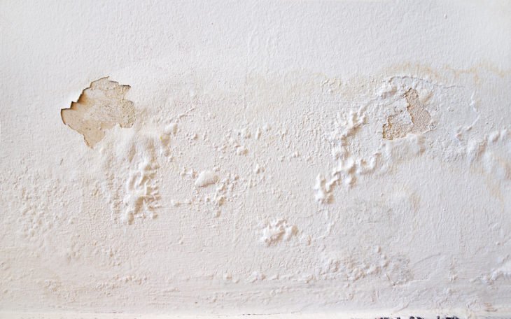 Cómo quitar el moho de la pared: de una simple limpieza a una renovación