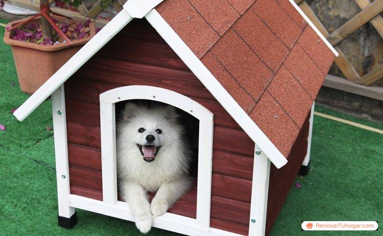 40 modelos de casitas de madera para que tu perro tenga aún más comodidad