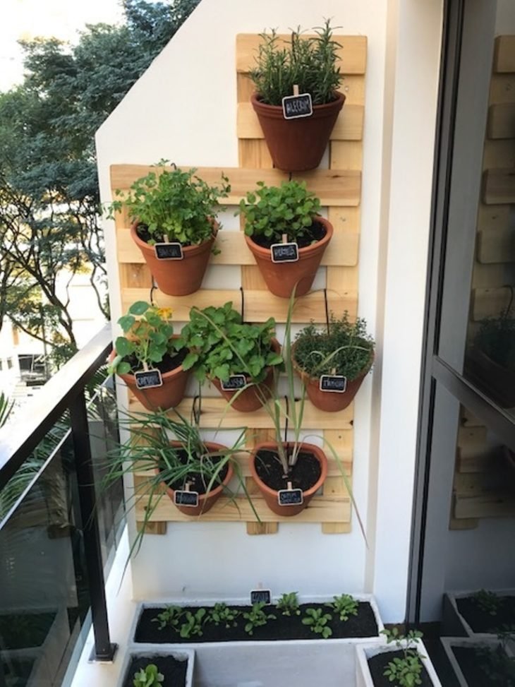 Jardín del apartamento: cómo hacerlo, qué plantar, paso a paso y fotos.