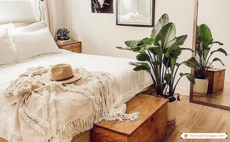 Plantas de dormitorio: 12 opciones para decorar tu rincón