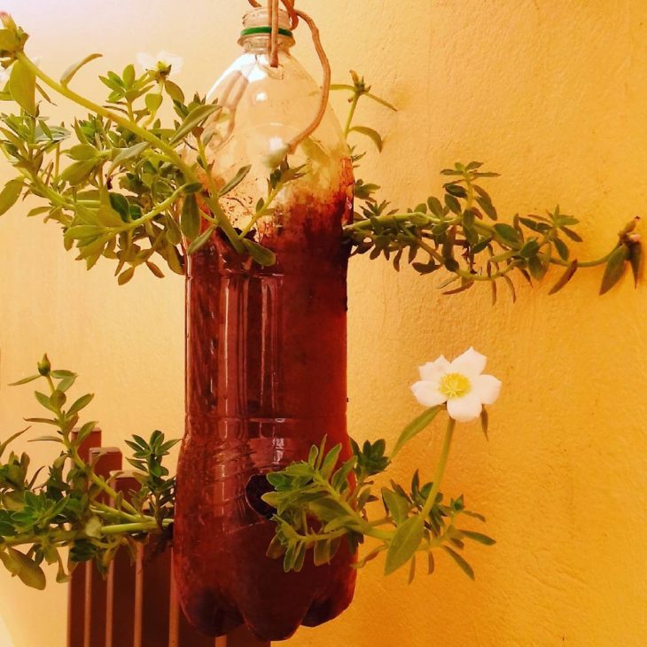 Florero de botella de PET: 65 ideas y paso a paso para una decoración sostenible