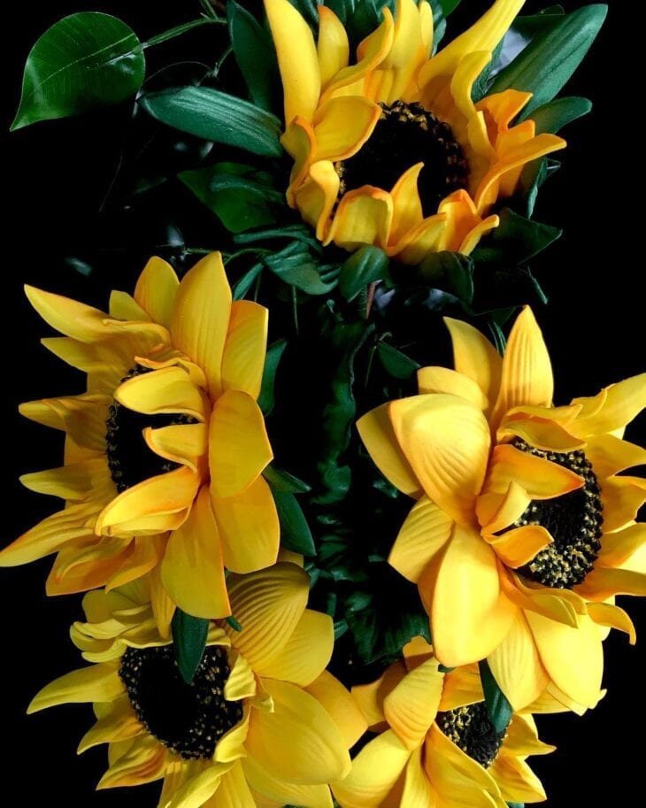 EVA Sunflower: 40 inspiraciones, tutoriales y patrones para crear su jardín