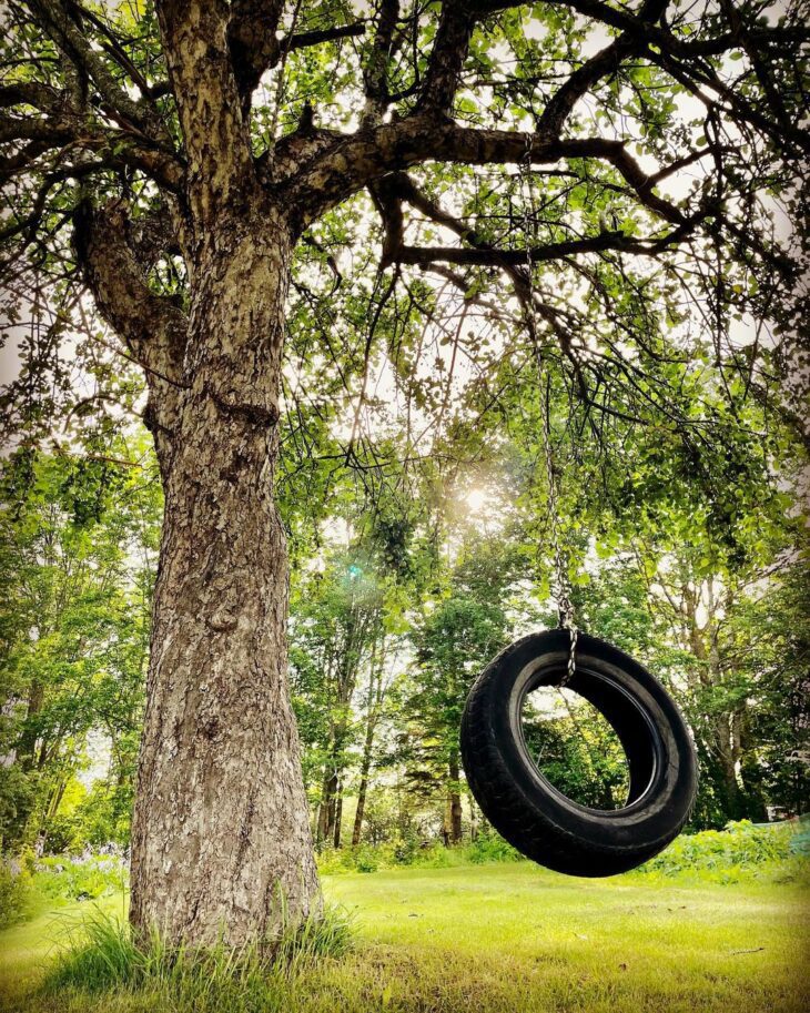 25 ideas para columpios de neumáticos para una diversión sostenible