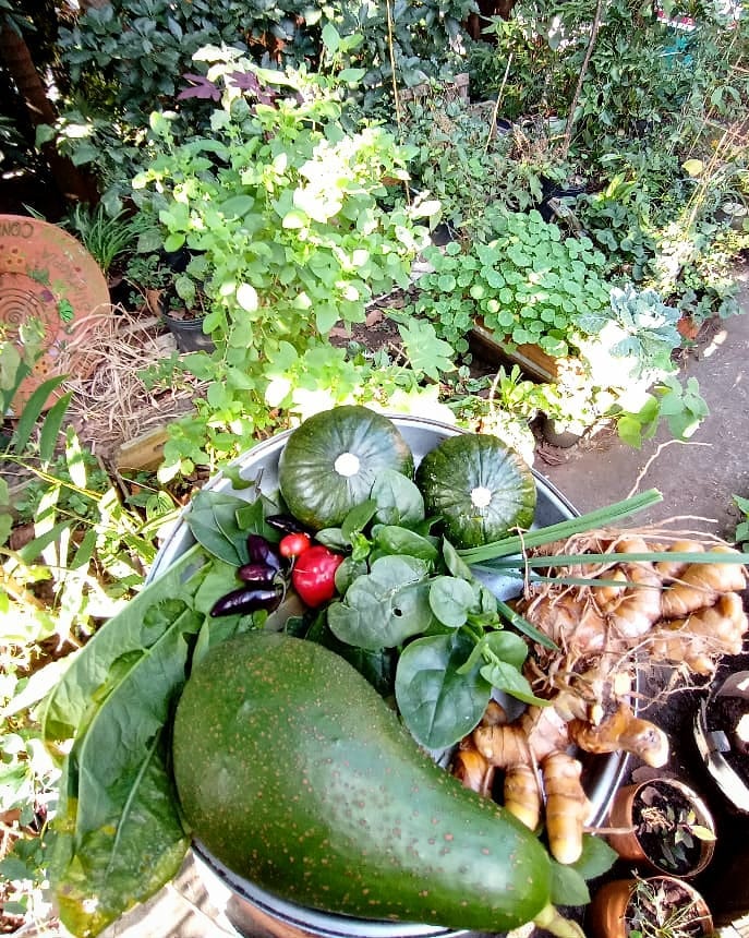 60 ideas de jardín en el patio trasero para tener tus verduras al alcance de la mano