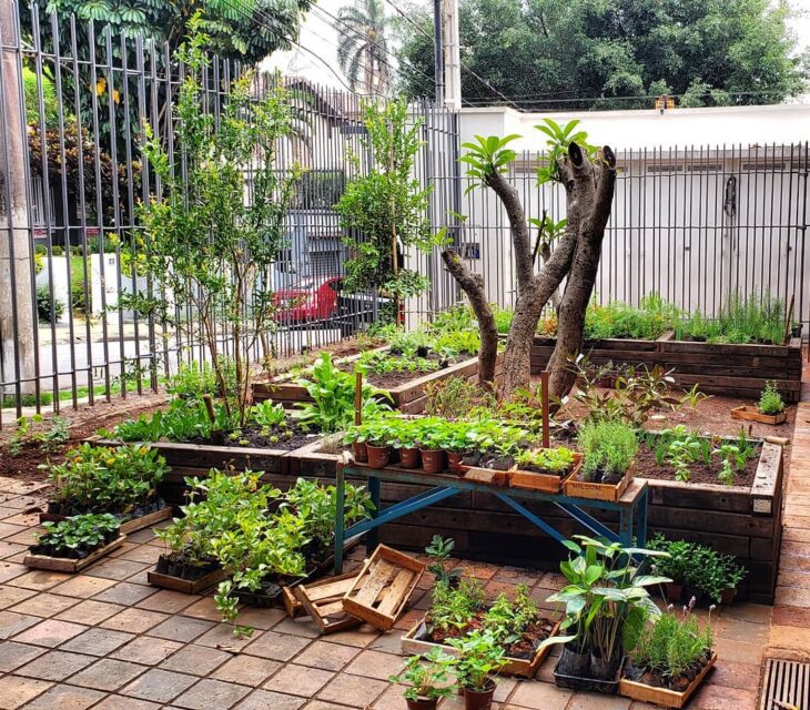 60 ideas de jardín en el patio trasero para tener tus verduras al alcance de la mano