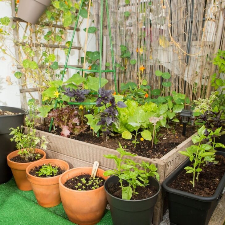 60 ideas para jardines en macetas que te facilitarán el día