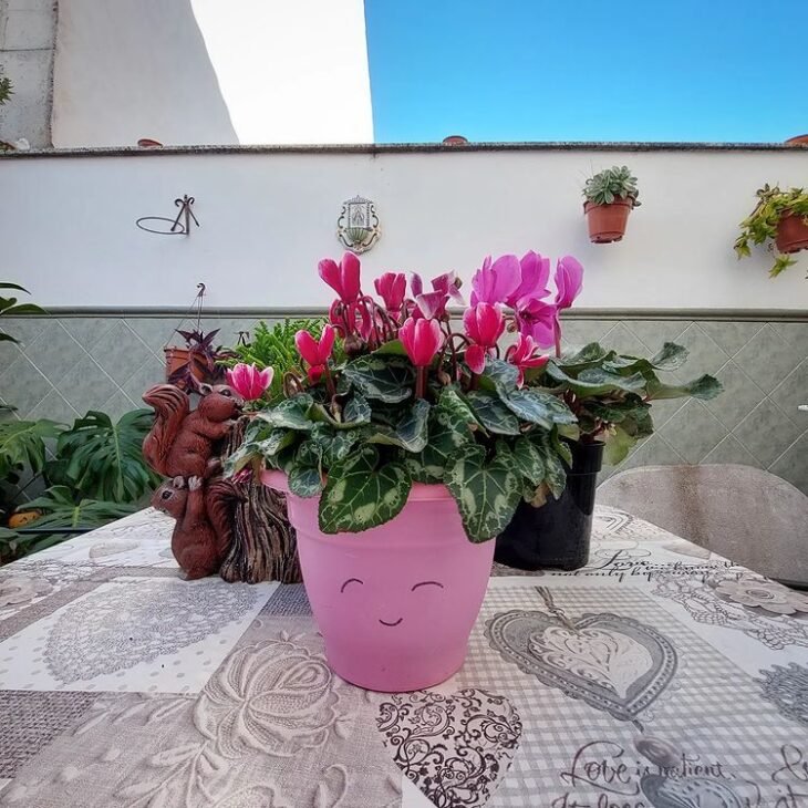 5 consejos para cultivar Carmelia y decorar tu hogar con la flor