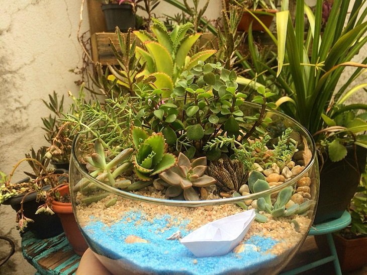 7 consejos para montar un mini jardín de suculentas en casa