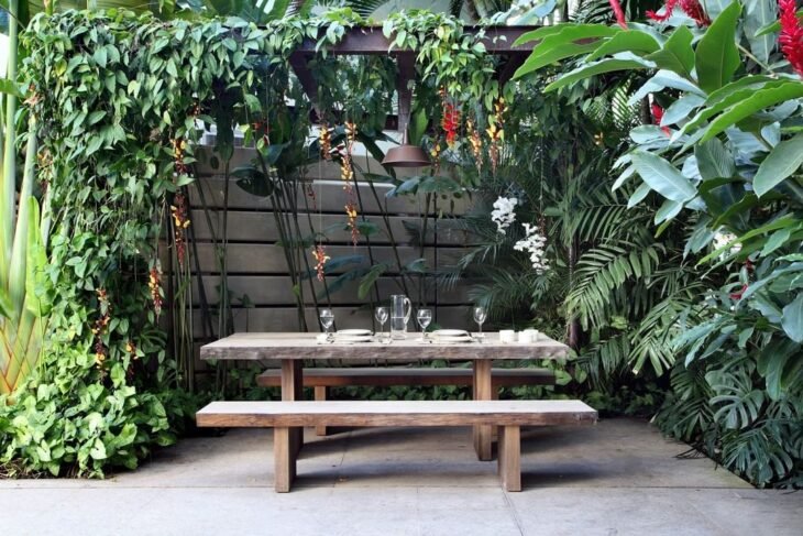 Las mejores plantas de pergo y 20 ideas que inspirarán tu jardín