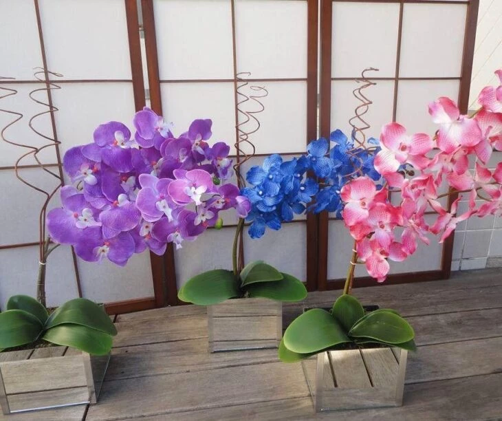 Orquídea azul: cómo cultivar y utilizar la planta en la decoración de tu hogar