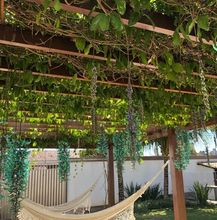 Enredadera de jade: consejos e ideas para cultivar esta planta en tu jardín