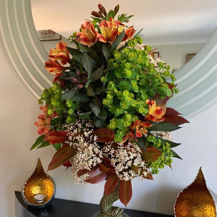 Astromelia: cómo cuidar y 60 decoraciones con esta hermosa flor