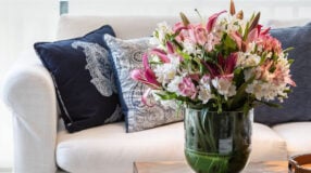 Proteas: enamórate de la magnífica belleza de estas flores