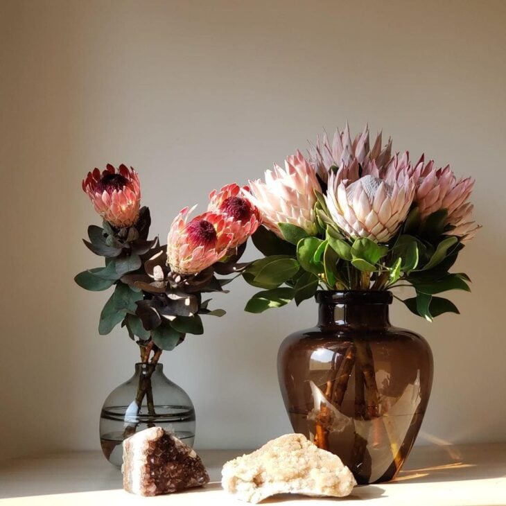 Proteas: enamórate de la magnífica belleza de estas flores