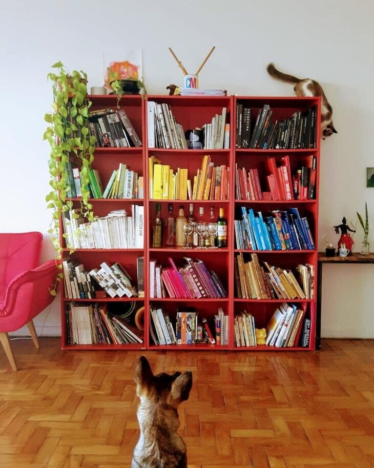 Biblioteca en casa: cómo organizarse y 70 fotos para inspirarse