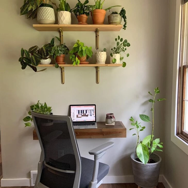 Repisa para plantas: 20 ideas y tutoriales para llenar tu vida de verde